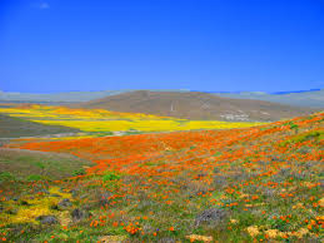 Antelope Valley Countryside